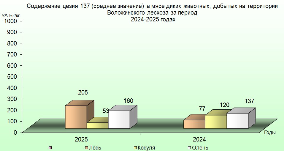2025 dich