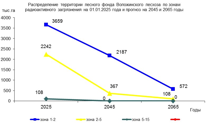 2025 prognoz
