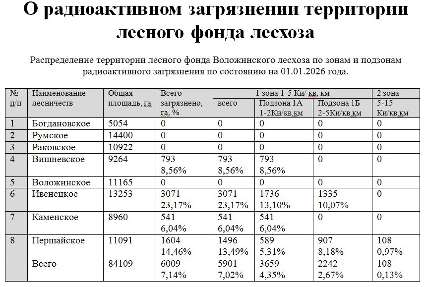 2026 01 01 zagryazn l f